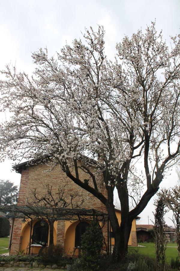 La Trunera Guest House Алесандрия Екстериор снимка